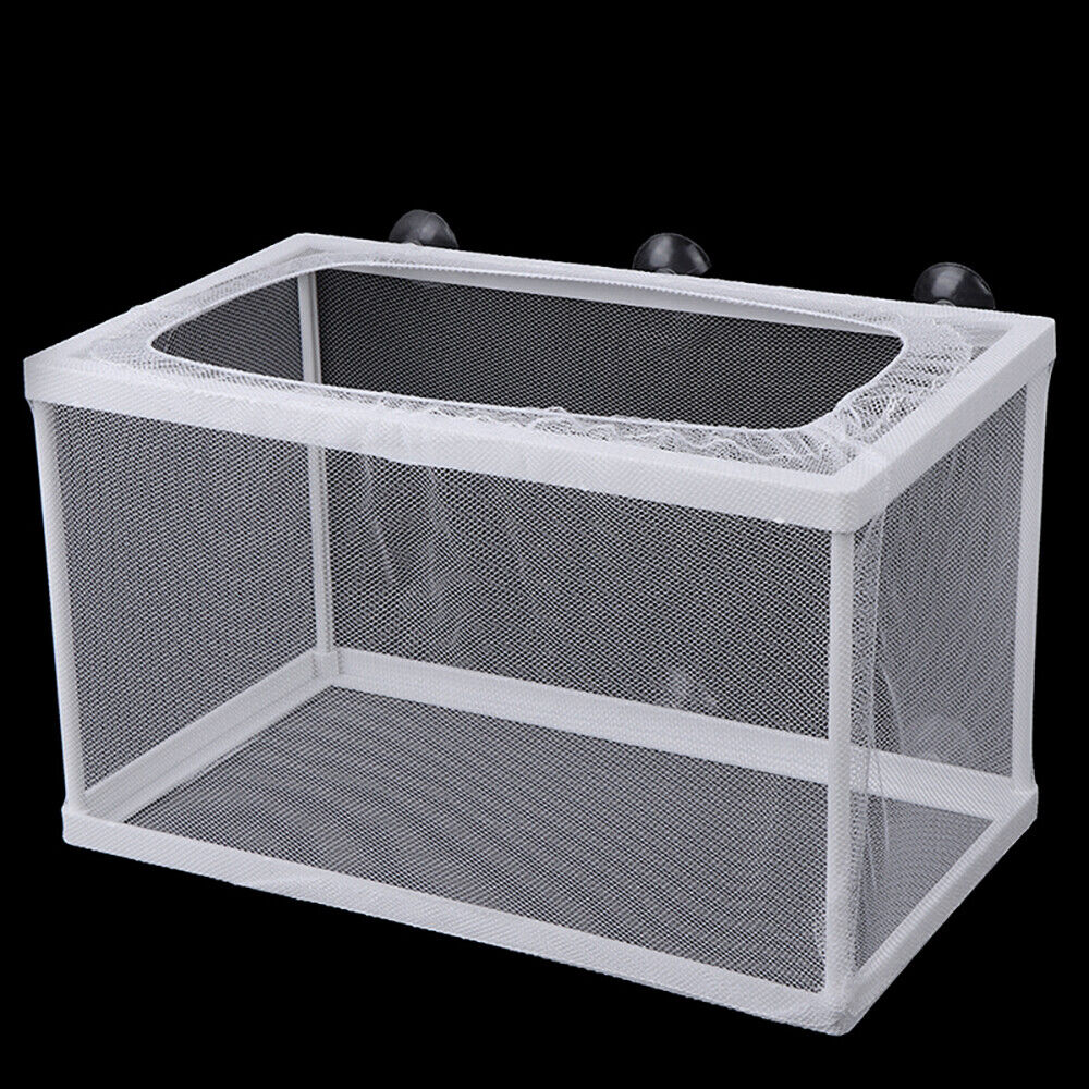 Breeding and Hatchery and isolation Net Box (Big Size)