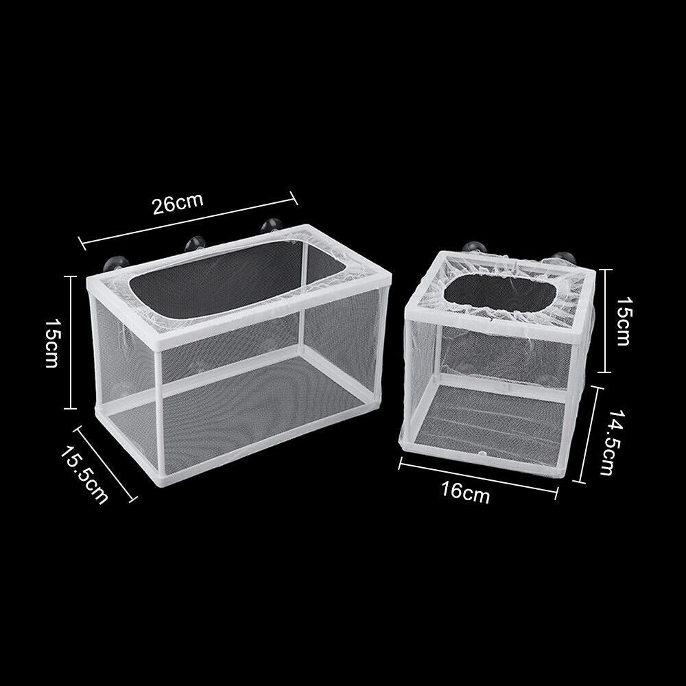 Breeding and Hatchery and isolation Net Box (Small Size)