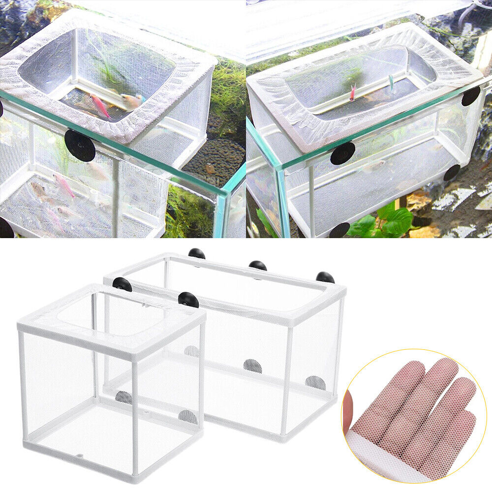 Breeding and Hatchery and isolation Net Box (Small Size)