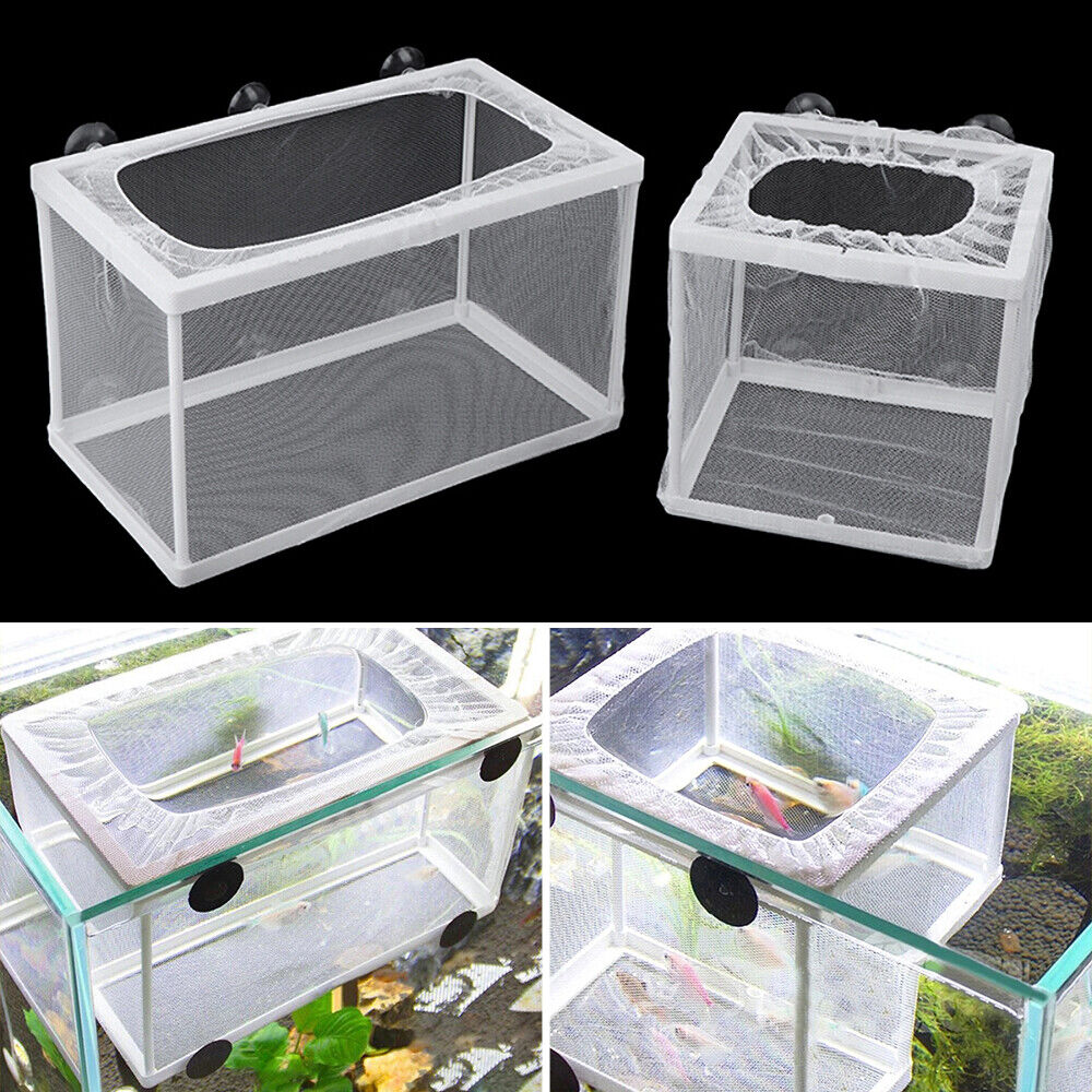 Breeding and Hatchery and isolation Net Box (Big Size)