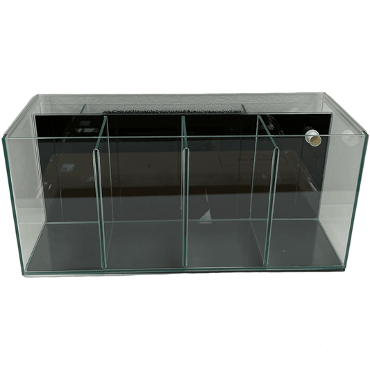 Betta 4 Bay Aquarium Fish Tank with Filter (Pick up only) no Shipping!